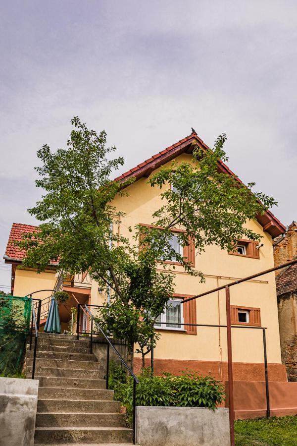 Gabi'S Home #1 Sighişoara Exteriör bild